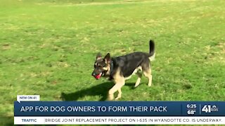 App for dog owners to form their pack
