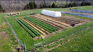 Installing GARDEN Fencing for a Large Garden | Planting 200 potatoes + Spring Crops