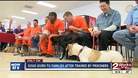 Prisoners save, train dogs at risk of euthanasia