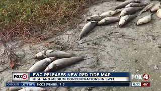 Parts of Southwest Florida see more red tide blooms