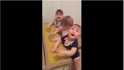 Baby Triplets Demonstrate Their Drumming Skills