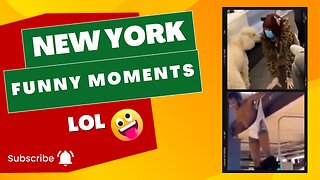 New York Funny Moments