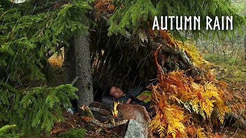 SOLO CAMPING in RAIN🍂Building my Bushcraft Survival Shelter: Rain & Fire ASMR