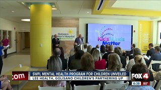 Mental health support plan for kids