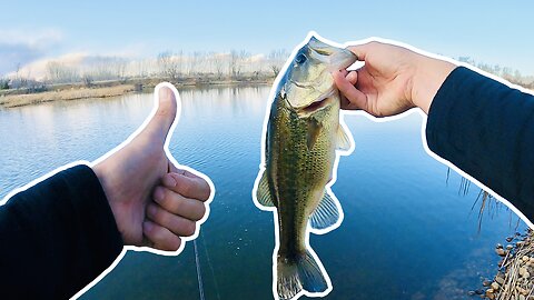Fishing for Colorado Pre-Spawn Bass in Local Shallow Water Pond!