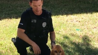 Meet Bandit, JPD's newest bloodhound named in Burt Reynold's honor