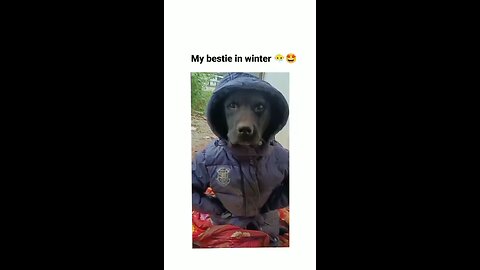 my besti in winter | funny video rumble