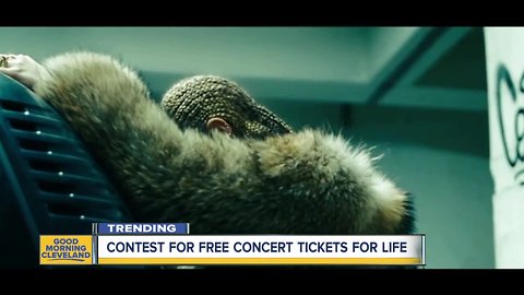 Free Beyonce and Jay-Z tickets for life for plant-based diet