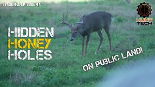 Find Hidden Gem Public Deer Hunting Land
