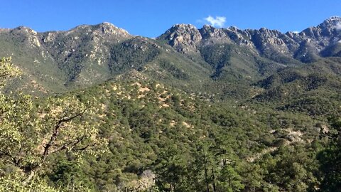 Madera Canyon in the Santa Rita Mountains near Tucson, Arizona