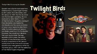 Ronny - Twilight Birds