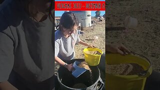 Farm Chores - Feeding Chickens | #vlogmas2023 #vlogmas23 December 8