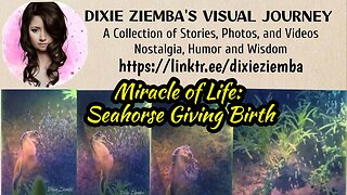 Miracle of Life: Seahorse Giving Birth