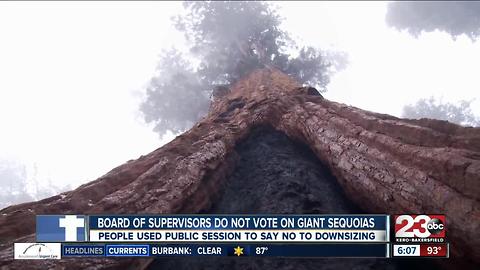 No vote taken by Board of Supervisors on Giant Sequoias