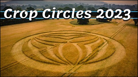 New Crop Circle Brings Life-Changing Healing Energies - Todd Bryson
