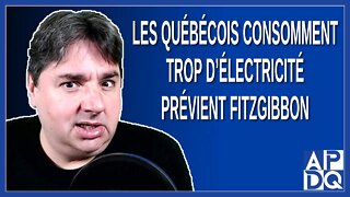 Les québécois consomment trop d'électricité, prévient Fitzgibbon