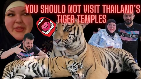 Foodie Beauty Went To The ER And Visited The Tigers For A Selfie