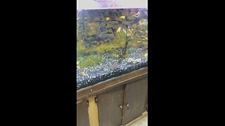 Big Fish Tank #bigfishtank #fishtank #fish #adsonreels