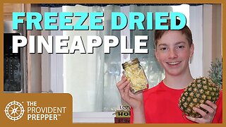 Food Storage: Freeze Dried Pineapple