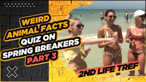 Just Laughs | WEIRD Animal Facts Quiz On Spring Breakers! Part 3 | Clearwater Beach Florida | Spring Break 2021