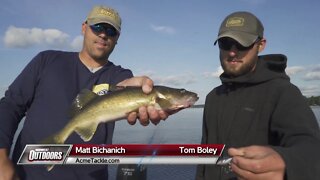 Lac Courte Oreilles Walleye in Wisconsin