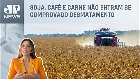 Kellen Severo: União Europeia aprova acordo que impactará agronegócio