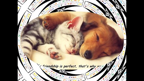 No friendship is perfect, accept the differences! [Quotes and Poems]