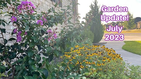 Zone 8B gardening-Native versus Nonnative July 2023 Garden Tour