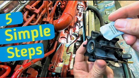 How to Change the Raw Water Impeller on a Lehman 135, Ep-153