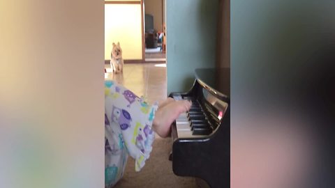 "A Toddler Plays Piano With Her Feet"