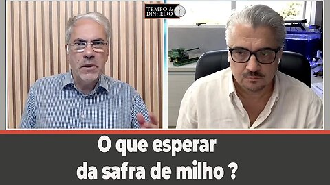 O que esperar da safra de milho? Roberto Carlos Rafael comenta