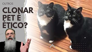 CLONAGEM de PETS já PODE SER FEITA, embora seja CARO, mas a QUESTÃO é: É ÉTICO clonar? Vale a PENA?