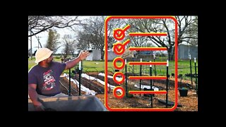 Garden Clean Up 2022 | MIGGROW2022 Final Update