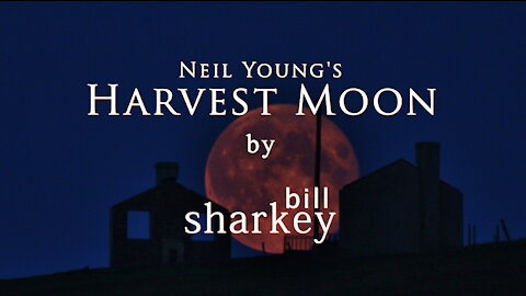 Harvest Moon - Neil Young (cover-live by Bill Sharkey)