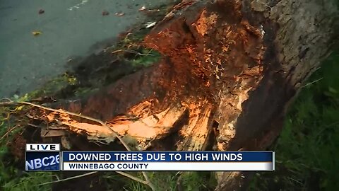 Storm Damage in Winnebago County