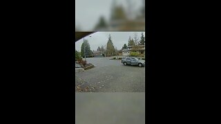 Woman gets caught stealing Amazon package.