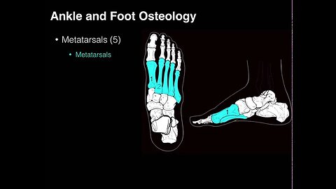 Osteo of Ankle and Foot