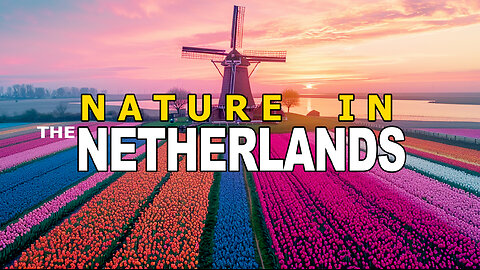 Nature in the Netherlands: Best Natural Wonders to visit in the Netherlands - Go Travel