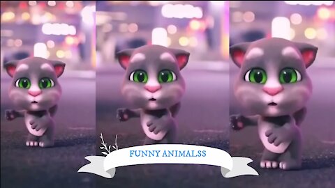 Funny Pet Dance || Funny Pets || Cute Pets || @funnyanimalsstv