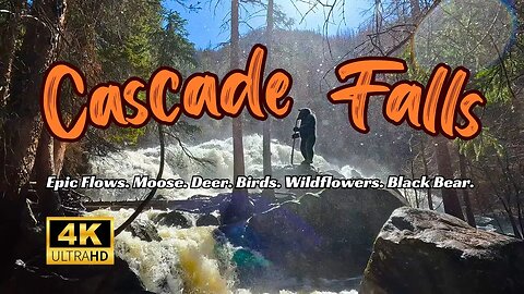 Cascade Falls Hike 4K