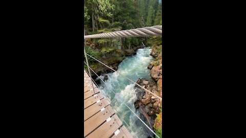 Suspension Bridge and Cheakamus River