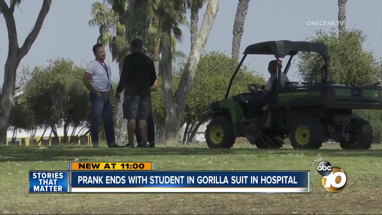 Student in gorilla costume chased by golf cart after prank gone wrong