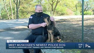 Meet Muskogee's newest police dog