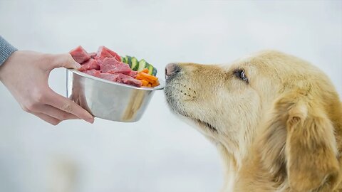 O que é alimentação natural para cães? | Dr. Edgard Gomes | Alimentação natural para Cães