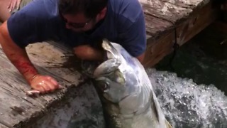 Man Catches GIANT Fish With His BARE HANDS