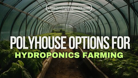 2. Polyhouse Options for hydroponic farming (Jyoti Hydroponics Farm) | Temperature Controlled Polyhouse for Hydroponics | Polyhouse Information | Which polyhouse is best for you?