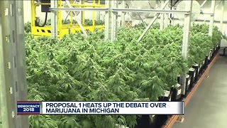 Proposal 1 heats up the debate over marijuana in Michigan