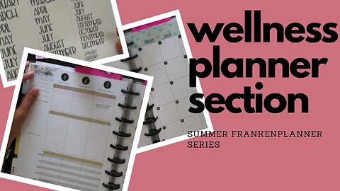 Wellness Planner Set up - Summer Frankenplanner