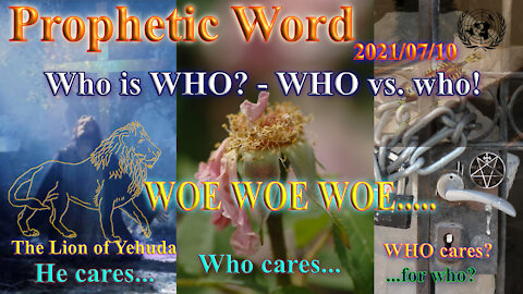 Prophetic Word: Who is WHO? The ax on the root in full swing, 3 Woe's