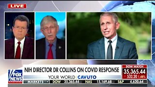 NIH Director: I Was Never Going To Fire Fauci